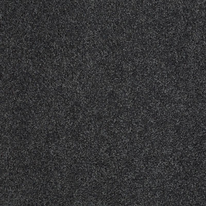 Shaw Floors Nfa/Apg Phenomenal Cape Verde