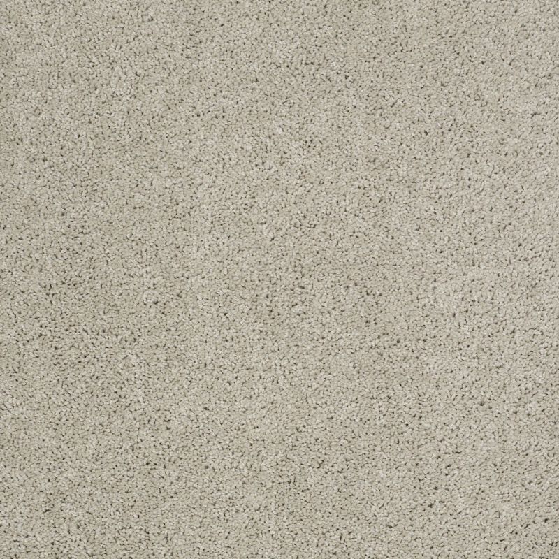 Shaw Floors Nfa/Apg Phenomenal Cold Water