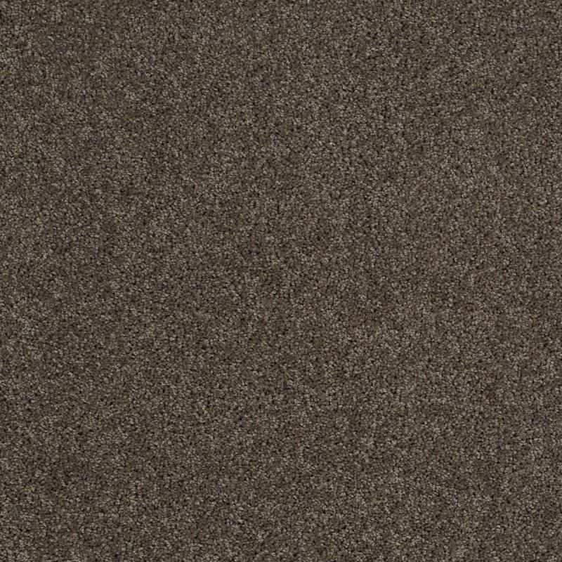 Shaw Floors Nfa/Apg Phenomenal Graphite