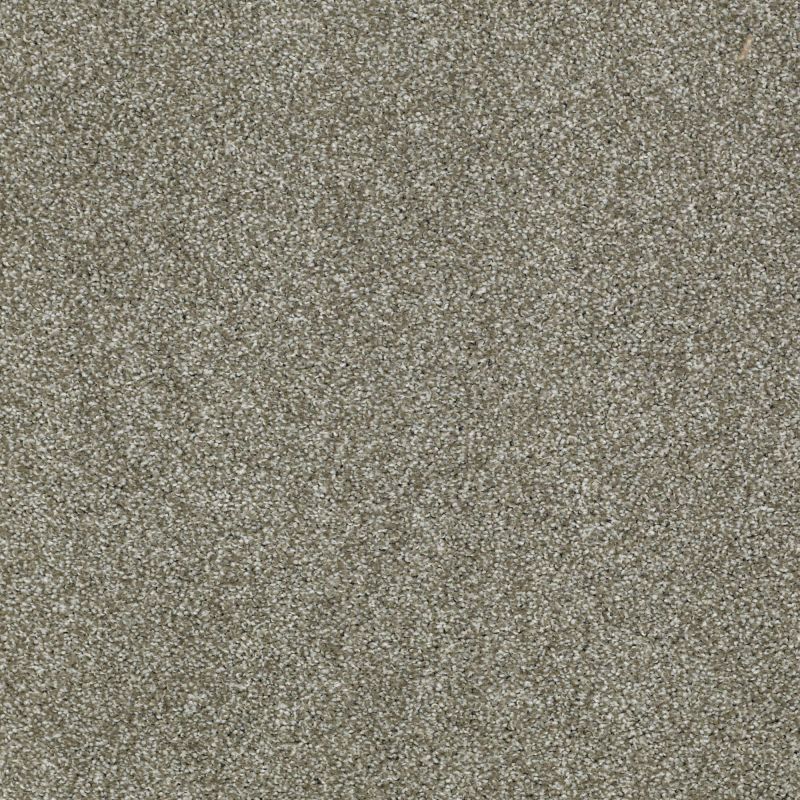 Shaw Floors Nfa/Apg Uncomplicated Silver Sage