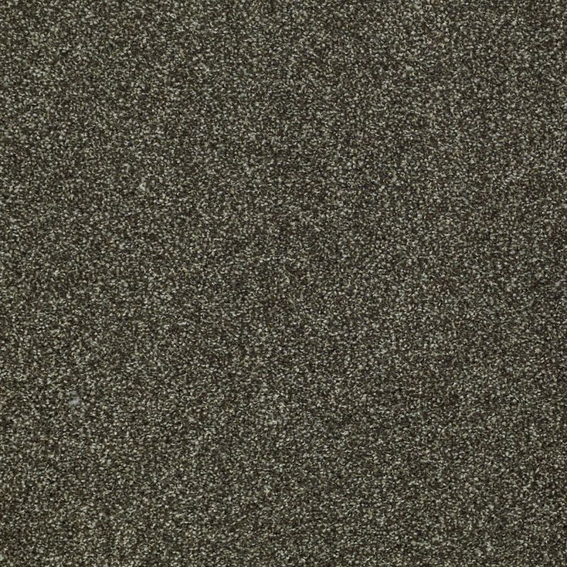 Shaw Floors Nfa/Apg Uncomplicated Garden Retreat