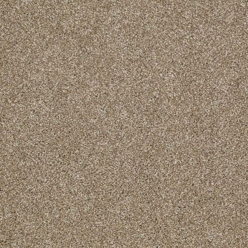 Shaw Floors Nfa/Apg Uncomplicated Prairie