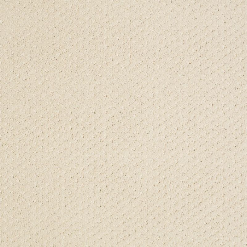 Shaw Floors Nfa/Apg Meaningful Design Winter White