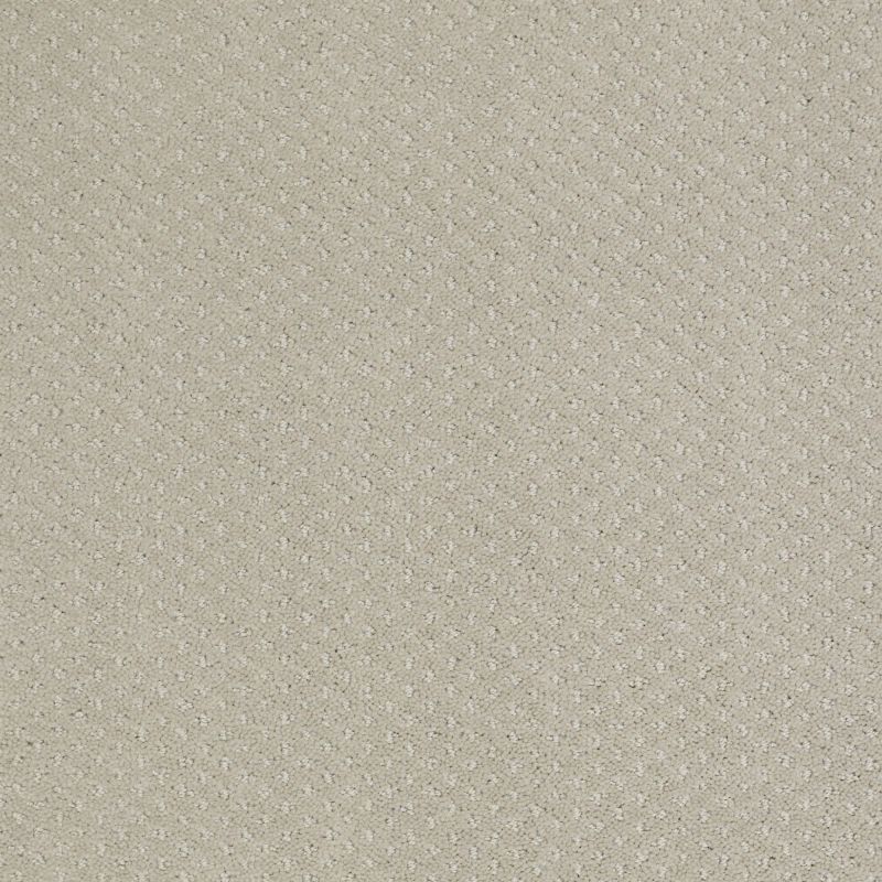 Shaw Floors Nfa/Apg Meaningful Design Cold Water