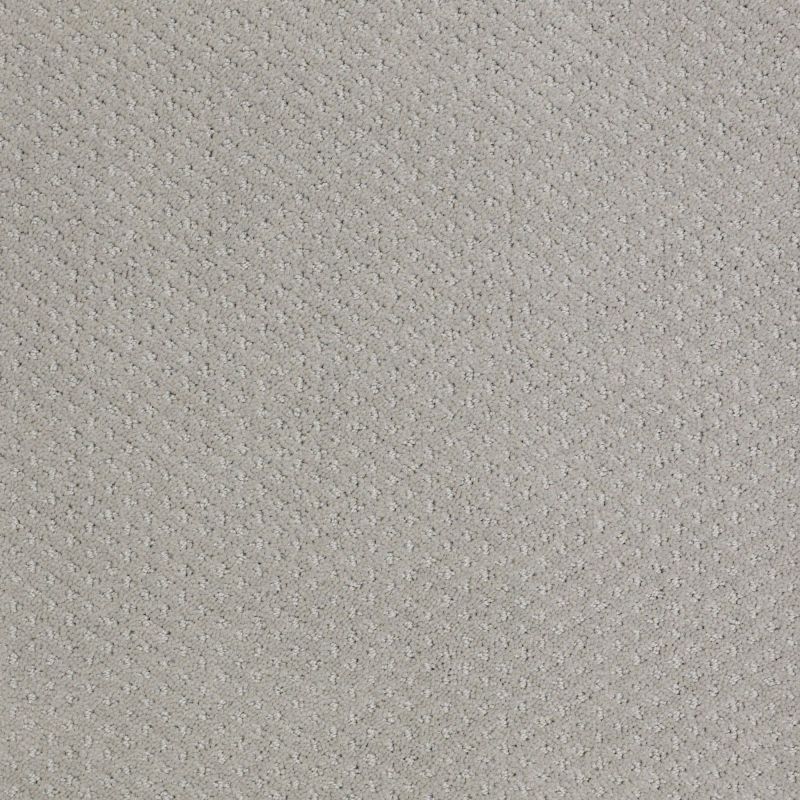 Shaw Floors Nfa/Apg Meaningful Design Sea Salt