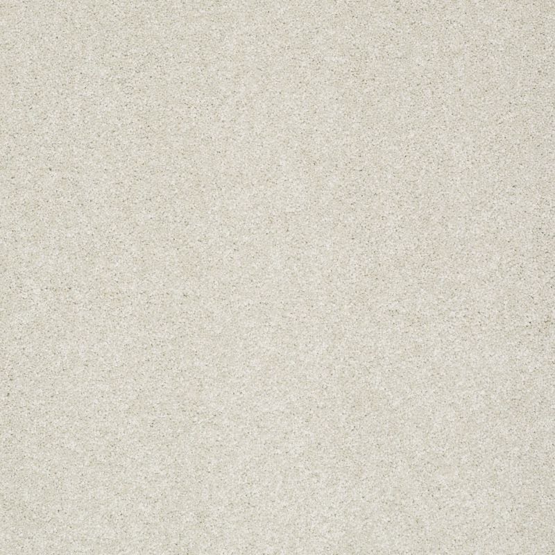 Shaw Floors Nfa/Apg Graceful Texture Vienna Sights