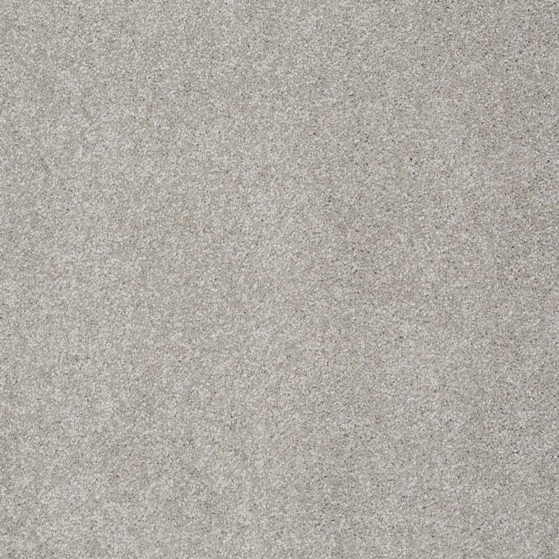 Shaw Floors Nfa/Apg Graceful Texture When In Rome