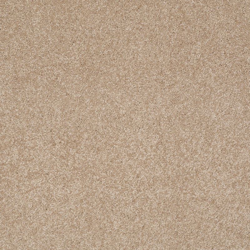 Shaw Floors Nfa/Apg Graceful Texture Townhouse Taupe