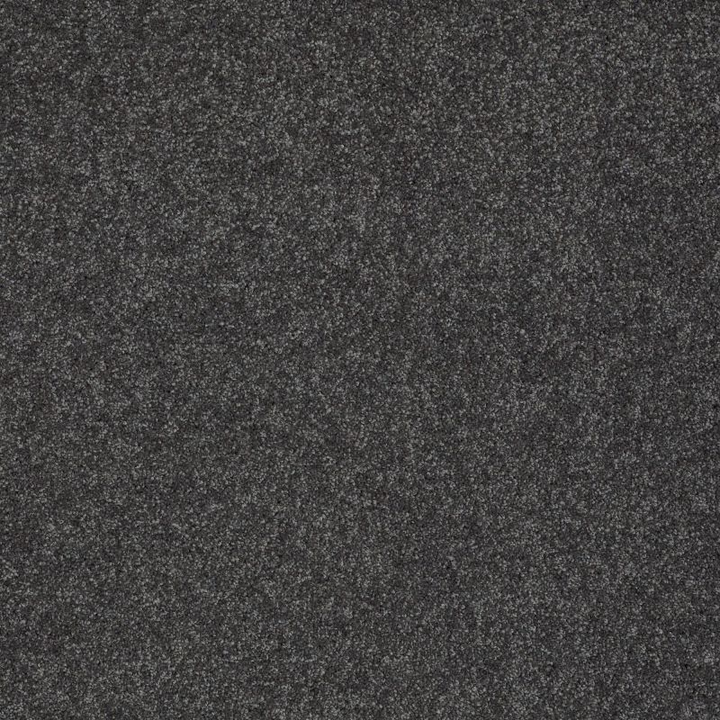 Shaw Floors Nfa/Apg Elegant Texture Victoria Falls