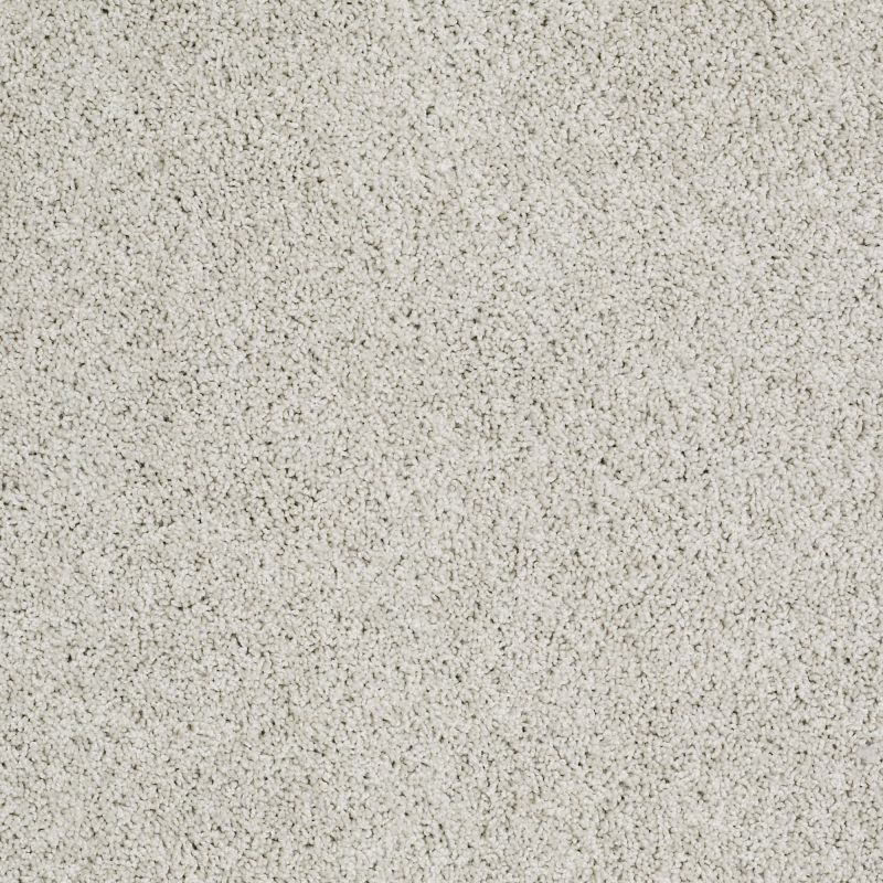 Shaw Floors Nfa/Apg Graceful Twist Vienna Sights