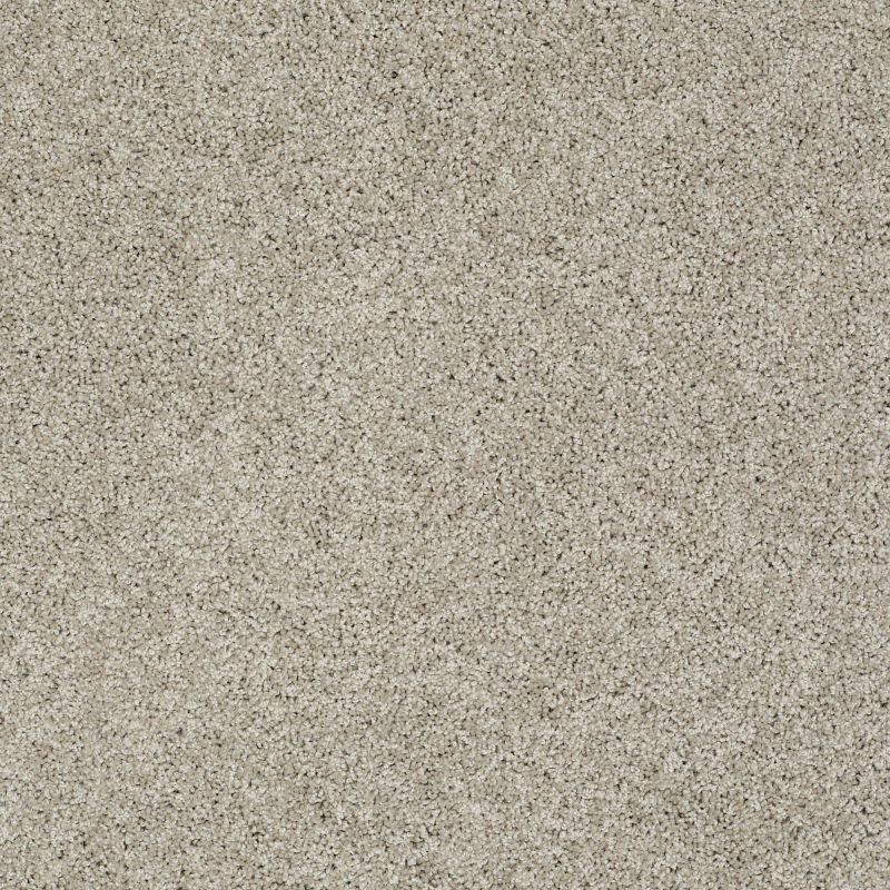 Shaw Floors Nfa/Apg Graceful Twist Warm Oatmeal