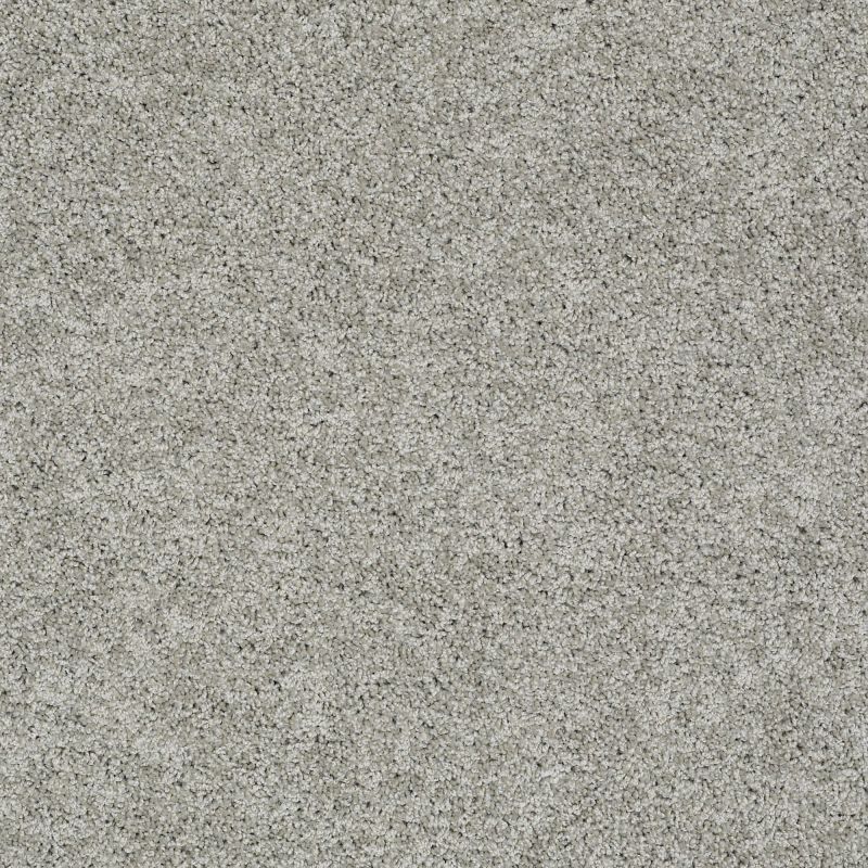 Shaw Floors Nfa/Apg Elegant Twist Elephant Gray