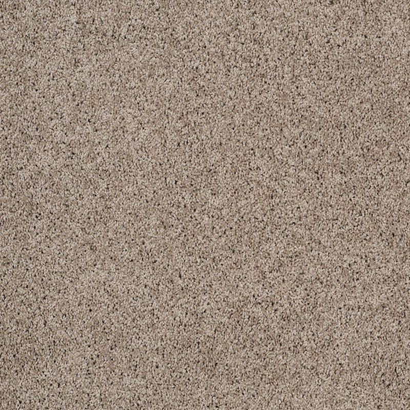 Shaw Floors Nfa/Apg Elegant Twist Warm Oatmeal