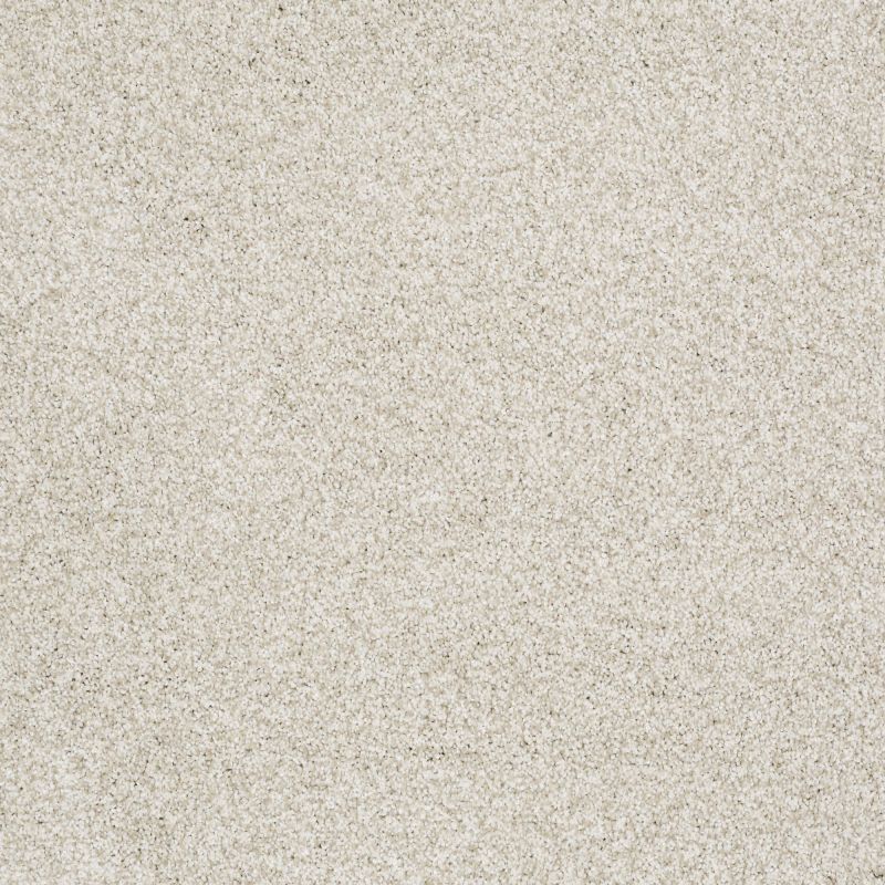 Shaw Floors Nfa/Apg Elegant Texture Tonal Denali Texture