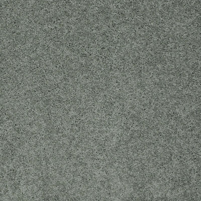 Shaw Floors Nfa/Apg Detailed Elegance III Silver Sage