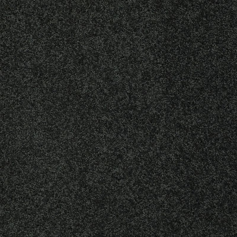 Shaw Floors Nfa/Apg Detailed Elegance III Peaceful Garden