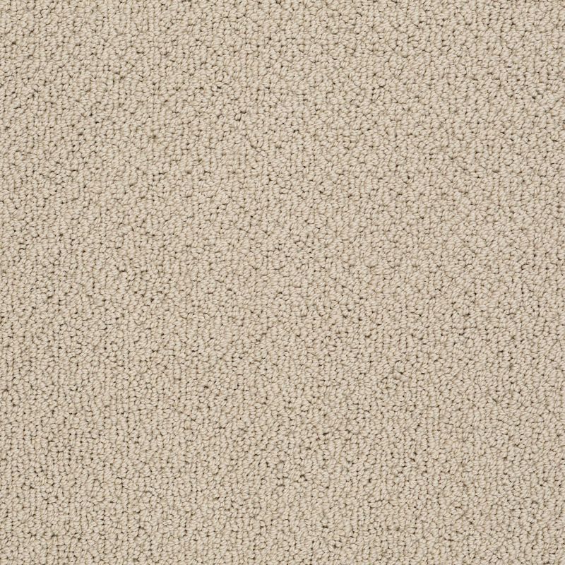 Shaw Floors Nfa/Apg Detailed Statement Loop Clay Stone