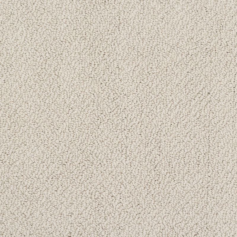 Shaw Floors Nfa/Apg Detailed Statement Loop Bare Essence