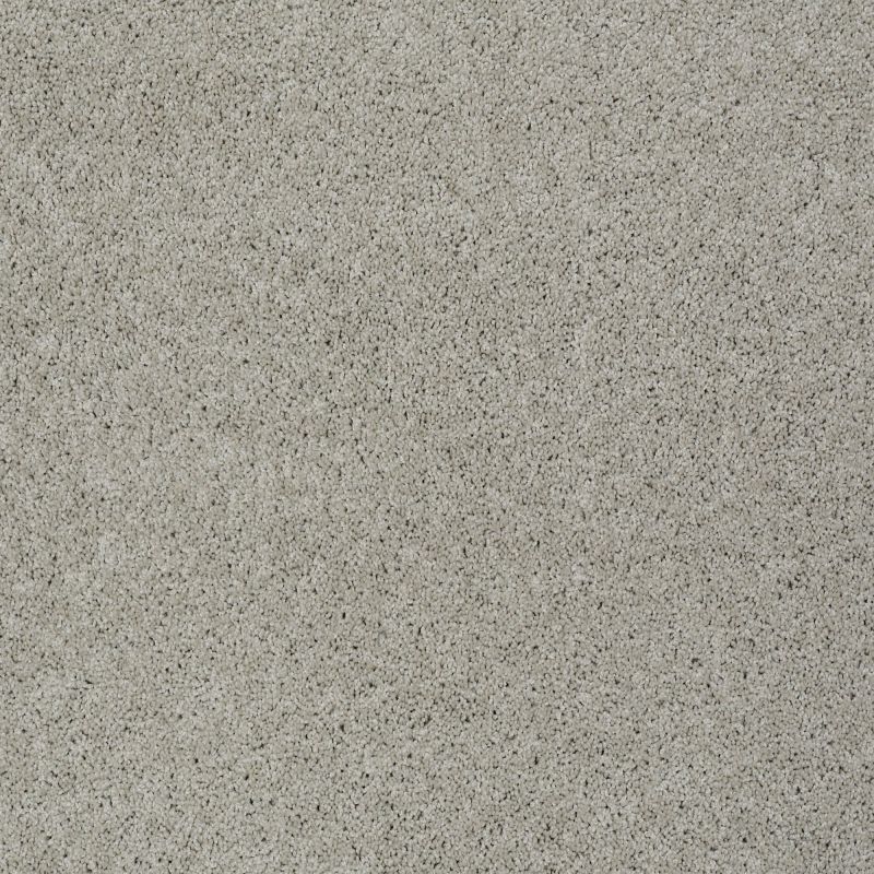 Shaw Floors Nfa/Apg Detailed Elegance I Textured Canvas