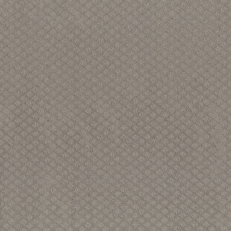 Shaw Floors Nfa Final Thought River Run