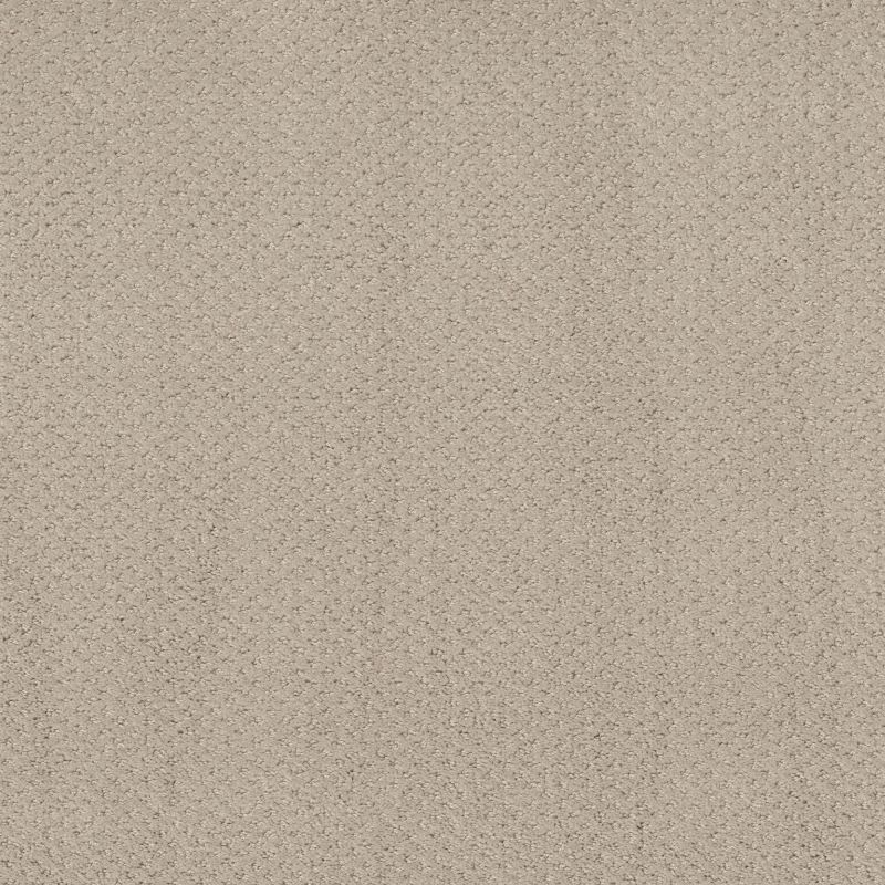 Shaw Floors Nfa Main Squeeze Fossil Path