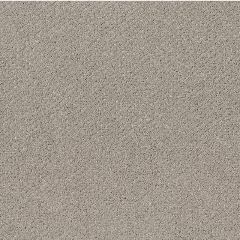 Shaw Floors Nfa Main Squeeze Newstone Haven