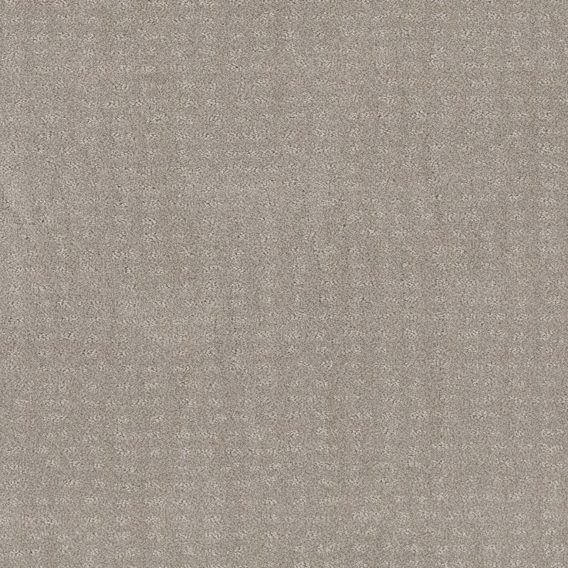 Shaw Floors Nfa Latest Thing Split Sediment
