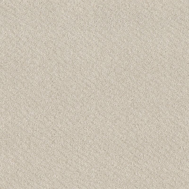 Shaw Floors Nfa Mod Beauty Serene Still