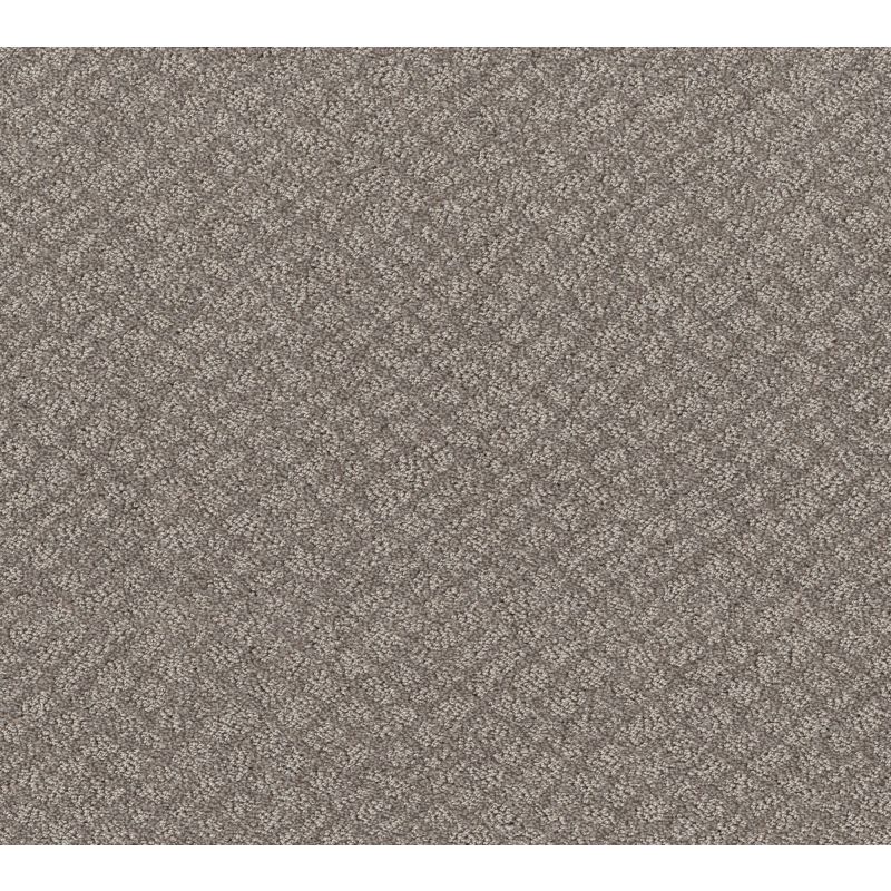 Shaw Floors Nfa Mod Beauty River Run