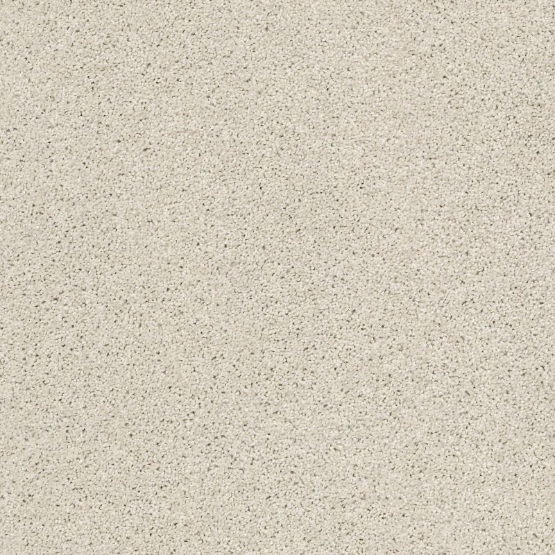 Shaw Floors Nfa Always On Time Etched Glass