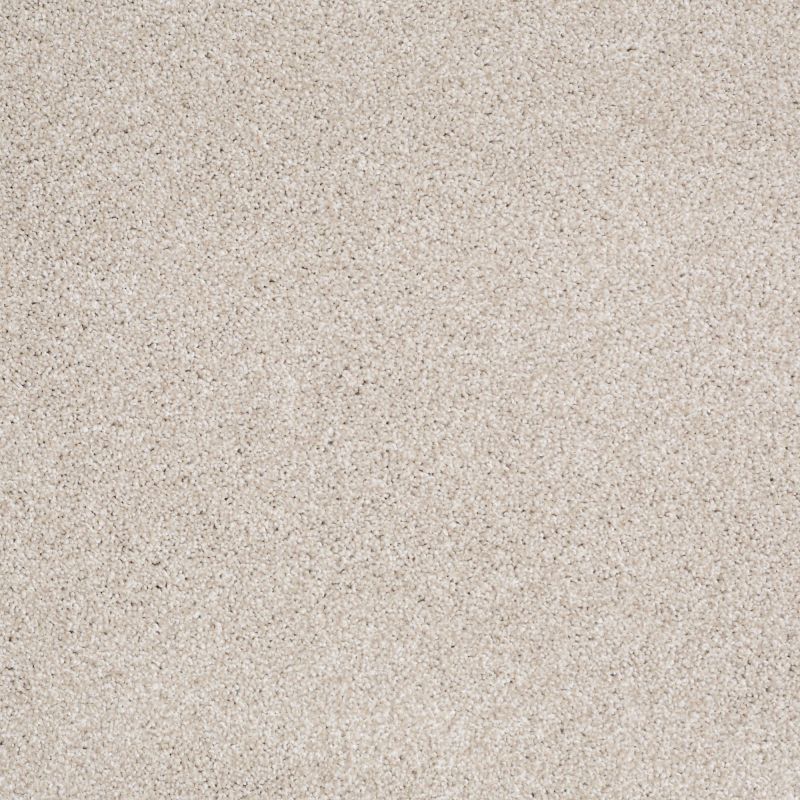 Shaw Floors Nfa Always On Time Balanced Beige