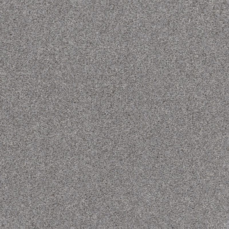 Shaw Floors Pet Perfect Plus Calm Embrace I Silver Lining