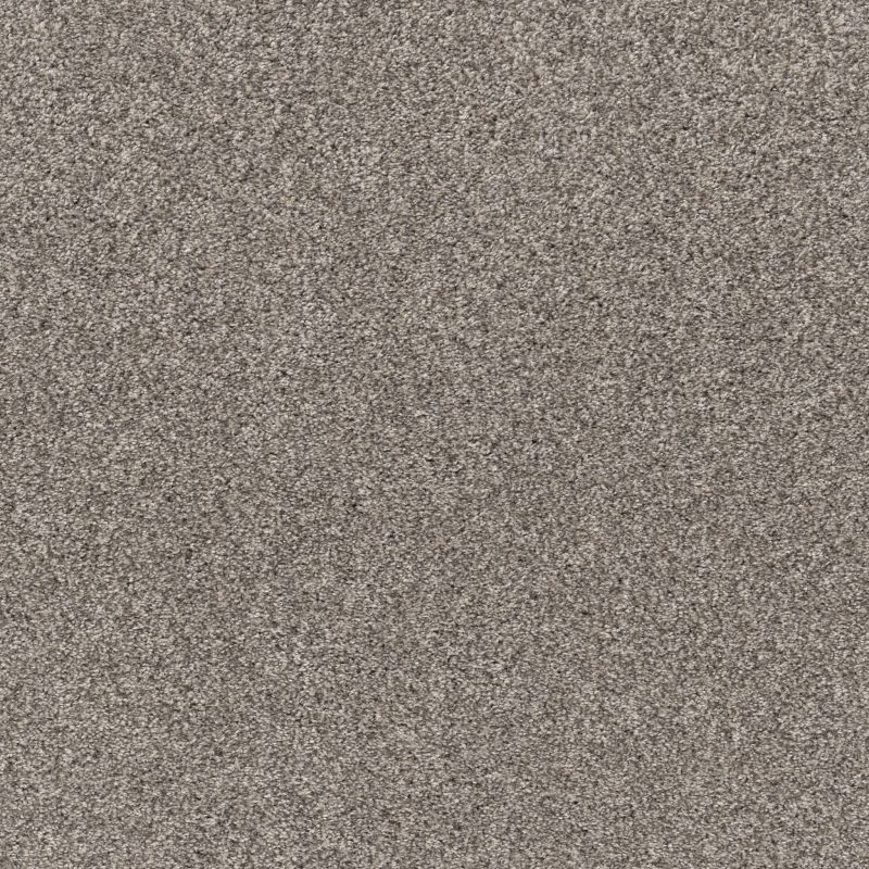 Shaw Floors Pet Perfect Plus Simple Charm I Kidskin