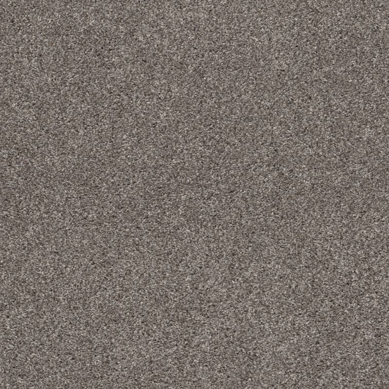 Shaw Floors Pet Perfect Plus Simple Charm I Newstone Haven
