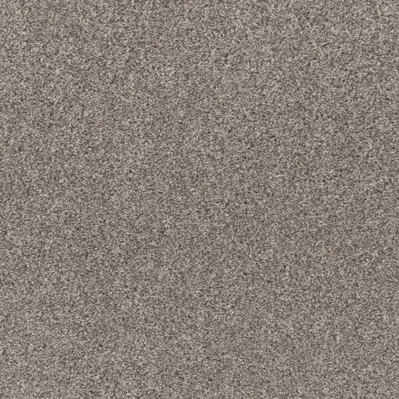 Shaw Floors Pet Perfect Plus Simple Charm II Kidskin