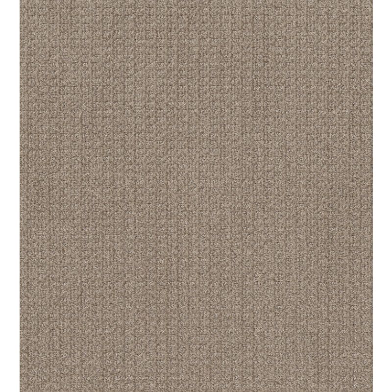 Shaw Floors Nfa Stay Tuned French Linen