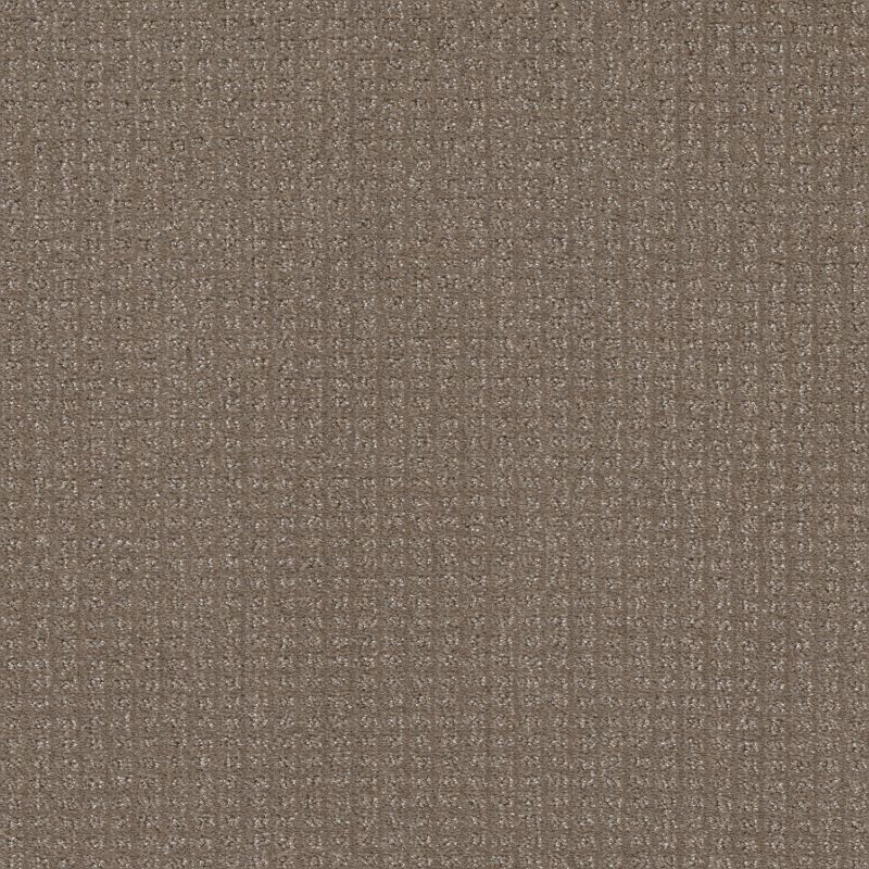 Shaw Floors Nfa Stay Tuned Papoose