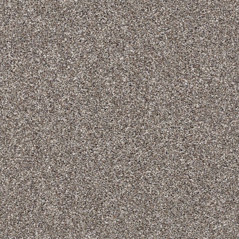 Shaw Floors Nfa My Way I Tree House