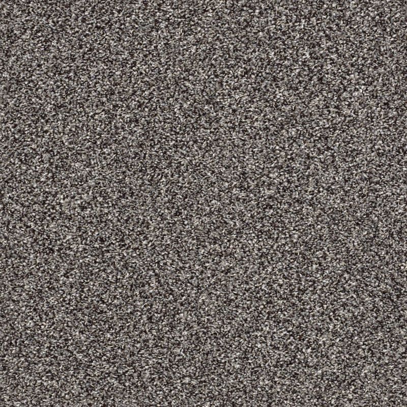 Shaw Floors Nfa My Way II Anchor