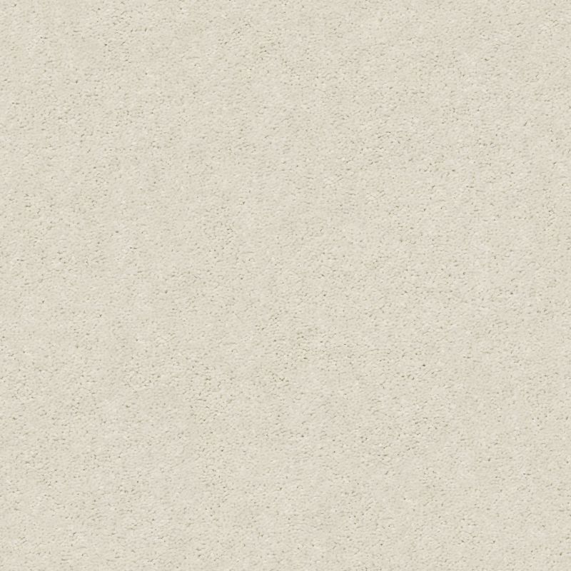 Shaw Floors Nfa Finders Keepers Blizzard