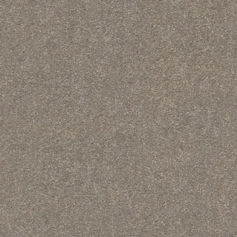 Shaw Floors Nfa Finders Keepers Smooth Taupe
