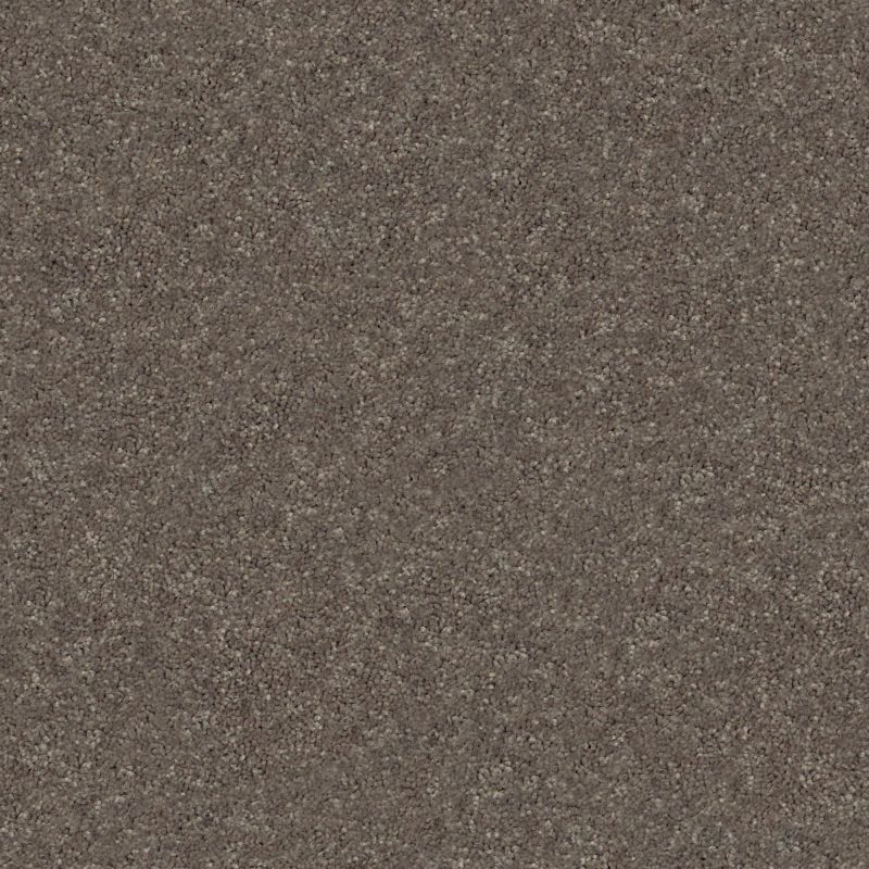 Shaw Floors Nfa Finders Keepers Urban Loft