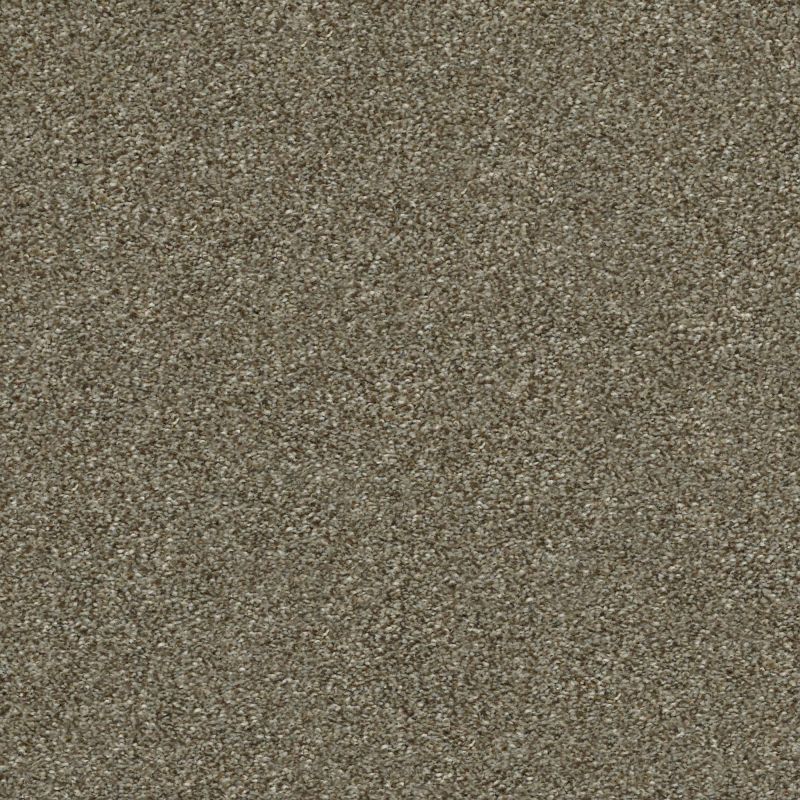 Shaw Floors Nfa Finders Keepers Fox Hollow