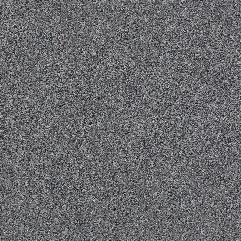 Shaw Floors Nfa Out Of Reach III Harbor Dock