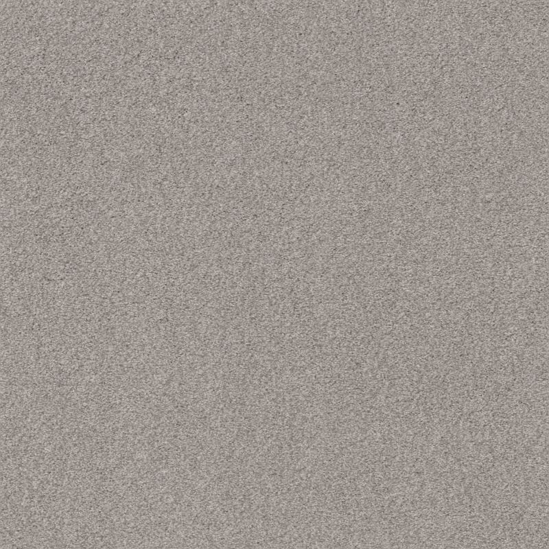 Shaw Floors Nfa Cozy Mist I Cold Winter