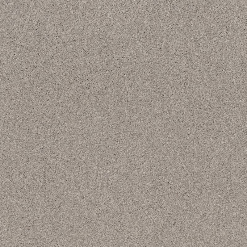 Shaw Floors Nfa Cozy Mist I Baltic Stone