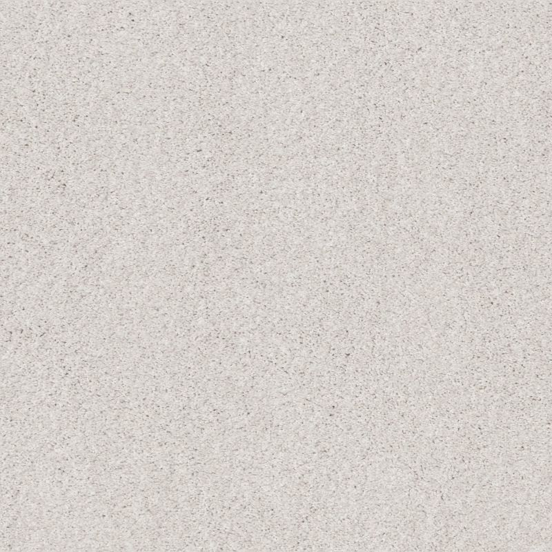 Shaw Floors Nfa Cozy Mist I Snowfall