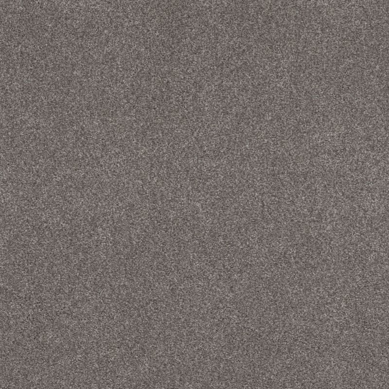 Shaw Floors Nfa Cozy Mist I Well Traveled