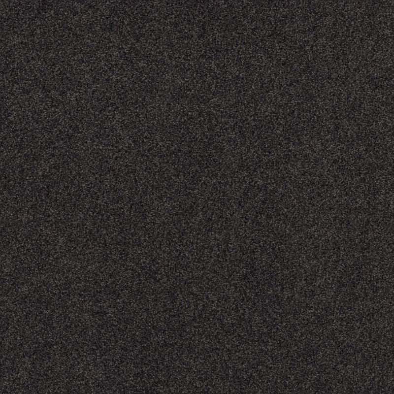 Shaw Floors Nfa Cozy Mist I Wrought Iron