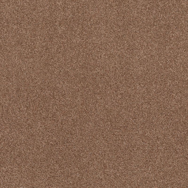 Shaw Floors Nfa Cozy Mist I Sunbaked